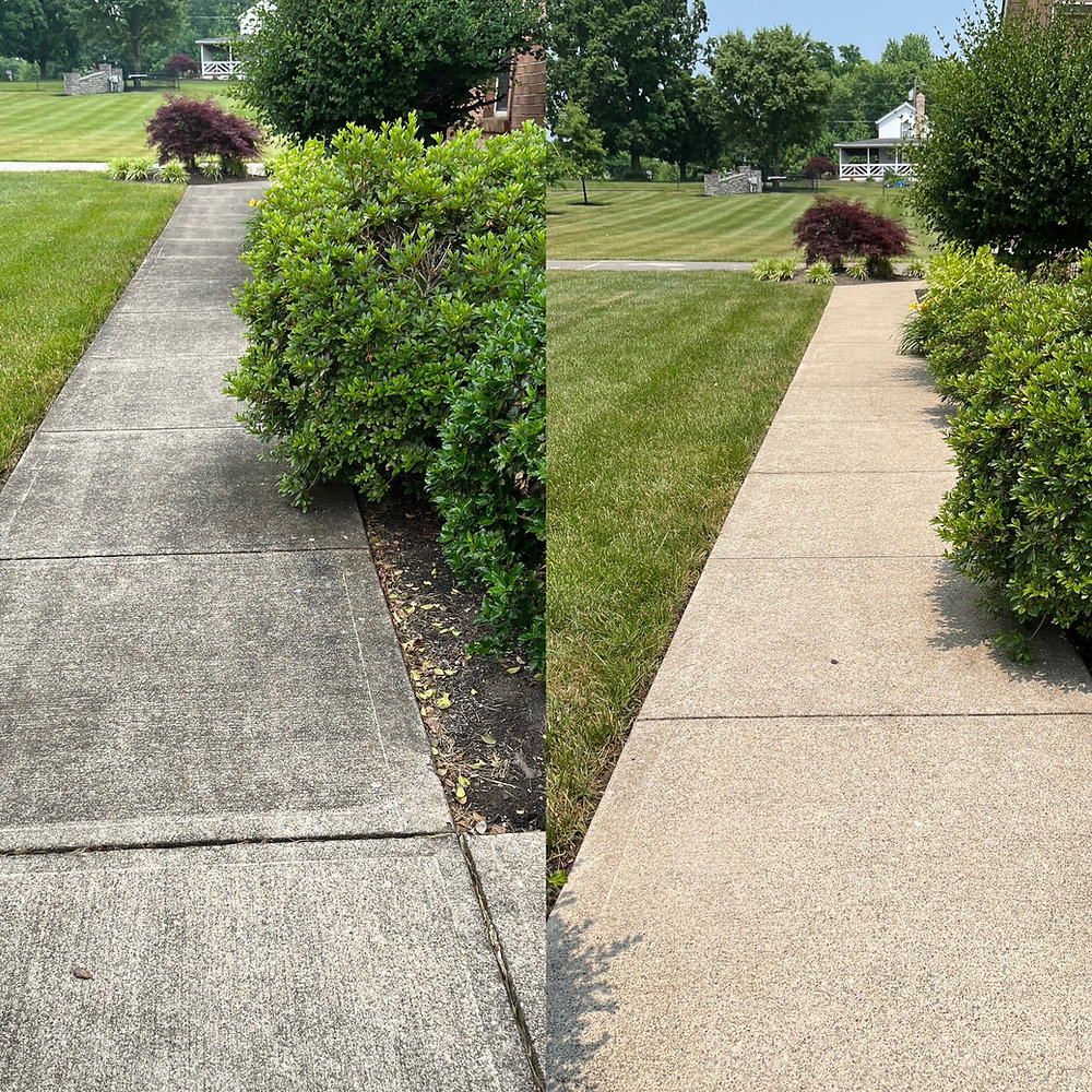 Walkway maintained by Powell Exterior Services exterior cleaning plan